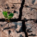 Mejora la situación de la sequía en España gracias a las últimas lluvias